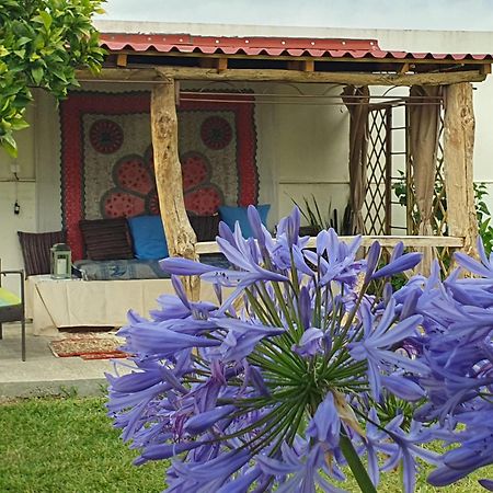 Casinha D'Alice Et Serge Cela Velha Buitenkant foto